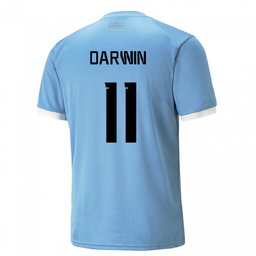Kandiny Niño Camiseta Uruguay Darwin Nunez #11 Azul 1ª Equipación 22-24 La Camisa Chile