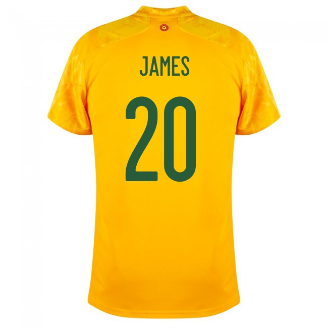 Mujer Selección de fútbol de Gales Camiseta Daniel James #20 2ª Equipación Amarillo 2021 Chile