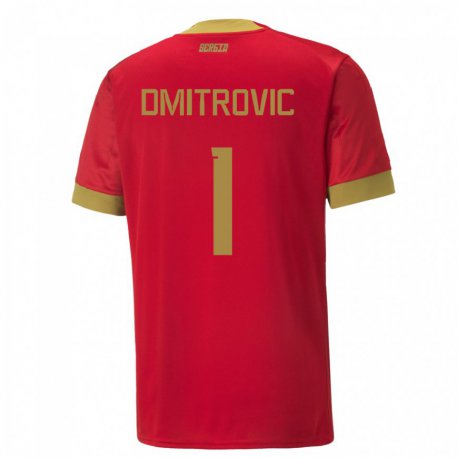 Kandiny Niño Camiseta Serbia Marko Dmitrovic #1 Rojo 1ª Equipación 22-24 La Camisa Chile