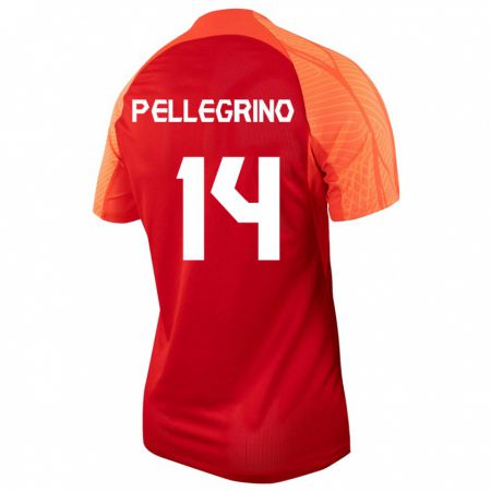 Kandiny Niño Camiseta Canadá Gabriel Pellegrino #14 Naranja 1ª Equipación 24-26 La Camisa Chile