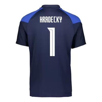 Mujer Selección de fútbol de Finlandia Camiseta Lukas Hradecky #1 2ª Equipación Azul oscuro 2021 Chile