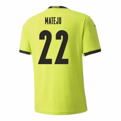 Mujer Selección de fútbol de la República Checa Camiseta Ales Mateju #22 2ª Equipación Verde claro 2021 Chile