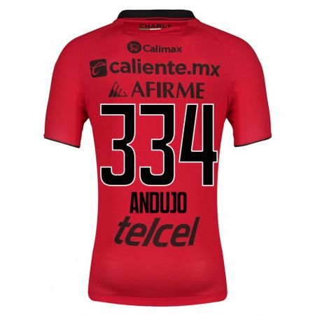 Kandiny Niño Camiseta Favio Andujo #334 Rojo 1ª Equipación 2023/24 La Camisa Chile
