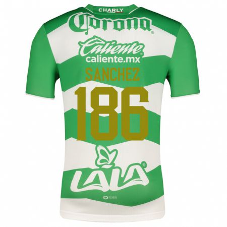 Kandiny Niño Camiseta David Sánchez #186 Verde 1ª Equipación 2023/24 La Camisa Chile