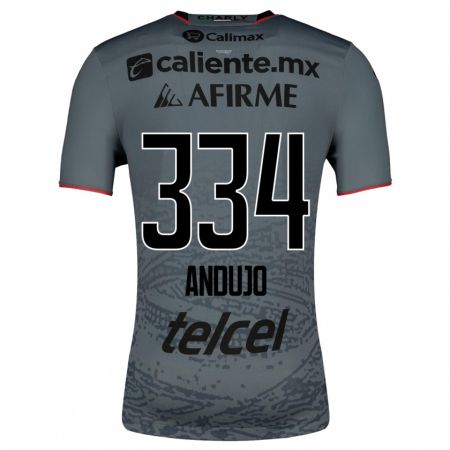 Kandiny Niño Camiseta Favio Andujo #334 Gris 2ª Equipación 2023/24 La Camisa Chile