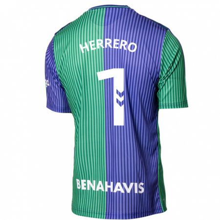 Kandiny Hombre Camiseta Alfonso Herrero #1 Verde Azul 2ª Equipación 2023/24 La Camisa Chile