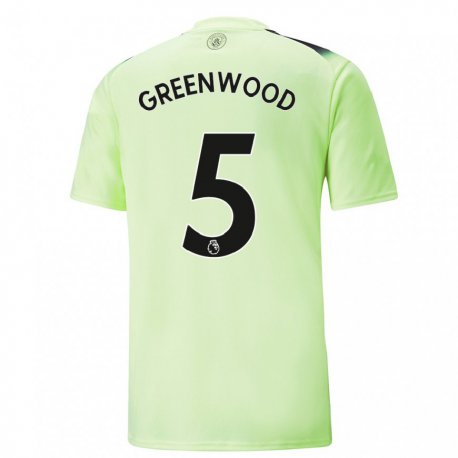Kandiny Hombre Camiseta Alex Greenwood #5 Verde Gris Oscuro Equipación Tercera 2022/23 La Camisa Chile
